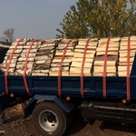 фото Сухие дрова (Колотые чурками) сосна, лествяк береза осина